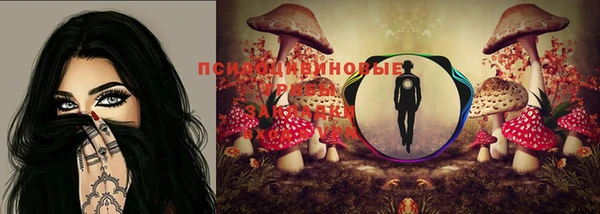 соль курить ск Арсеньев