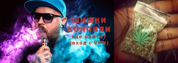 тгк Аркадак