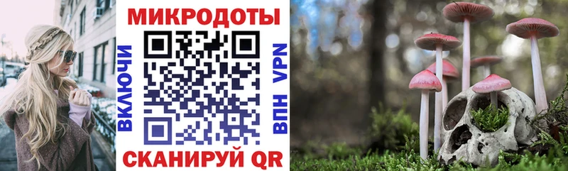 Псилоцибиновые грибы GOLDEN TEACHER Лукоянов